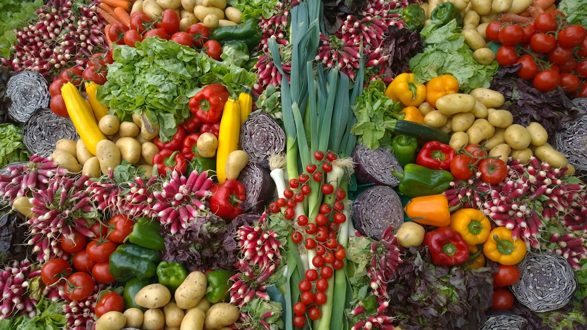 Nutrición en diferentes etapas de vida